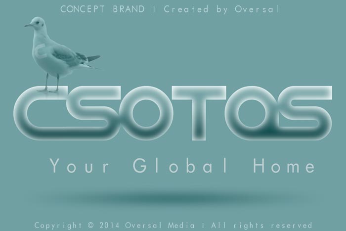 CSOTAS concept brand
